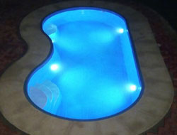 Bean Shaped Pool Manufacturer in Jaipur