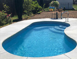 Kidney Shaped Swimming Pools Manufacturer in Jaipur