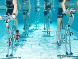 Wetfit Aqua Gym Manufacturer in Jaipur